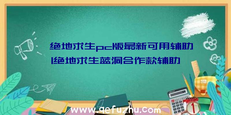 「绝地求生pc版最新可用辅助」|绝地求生蓝洞合作款辅助